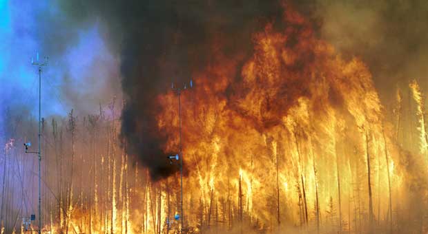 Incendie de forêt