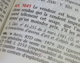 Garantie des vices cachés Code Civil