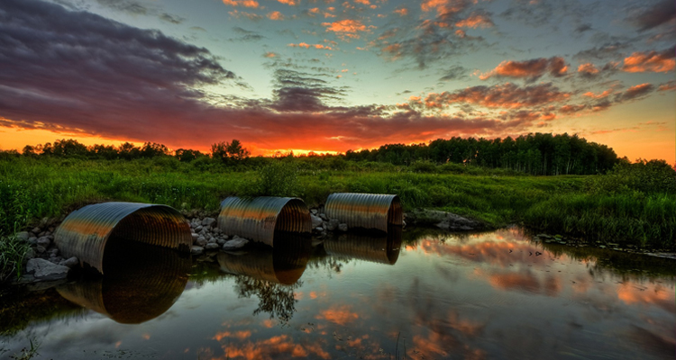 pollution des sols