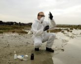 Etude de pollution des sols