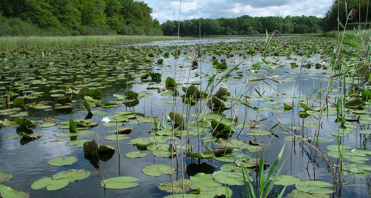 Espace Nature Departemental